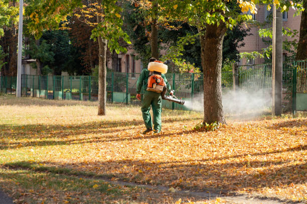 Best Wildlife Control Services  in Elburn, IL